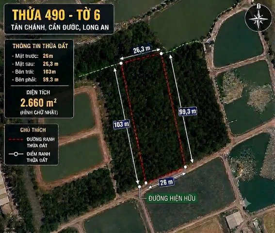 Bán Đất 2653m2 giá 260tr/1000m2 tại - Xã Tân Chánh Huyện Cần Đước Long An