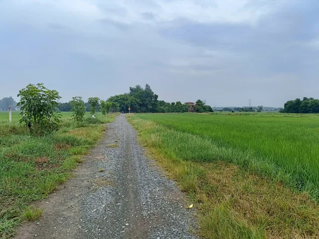 Bán đất vườn Tân Phú Trung, Củ Chi 1.392m², đường ôtô, sát khu dân cư, phù hợp làm nhà vườn 5,6 tỷ