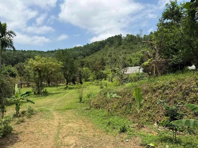 BÁN TRANG TRẠI FARMSTAY HÒA NINH HÒA VANG ĐÀ NẴNG 📌📌📌LÀM VIỆC TRỰC TIẾP GIÁ TỐT !!!