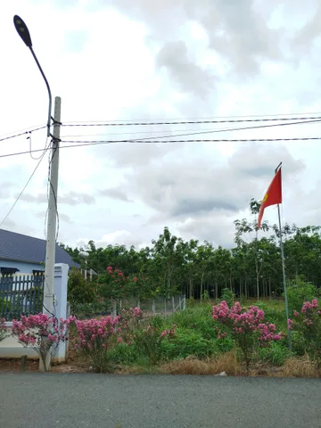 Bán đất thổ cư kế bên biệt thự, 277m2 sẵn 100mtc, có đèn, điện 3 pha