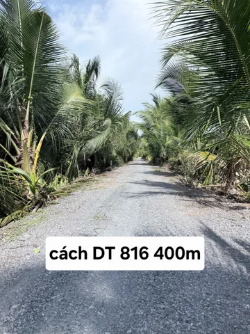 Bán Đất 700m2 giá 630 triệu tại Xã Thạnh Hòa Huyện Bến Lức Long An