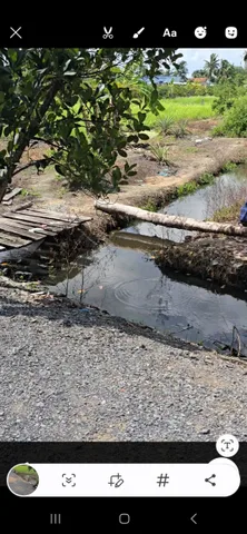 DUY NHẤT 1 LÔ 528m2 giá 510 triệu có sẵn vườn cây trái ngay trung tâm Xã Thạnh Hòa Huyện Bến Lức Long An