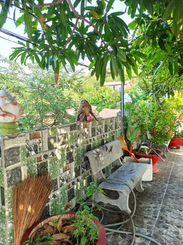 Bán Nhà riêng 41m2 có sẵn 41 m2 thổ cư giá  tỷ tại Đường Trung Hành Phường Đằng Lâm Quận Hải An Hải Phòng