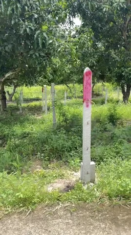 🔥 SIÊU PHẨM LÔ GÓC 2 MẶT TIỀN 82.5M2 THỔ CƯ - NỞ HẬU ĐẮC ĐỊA TẠI DIÊN KHÁNH🔥