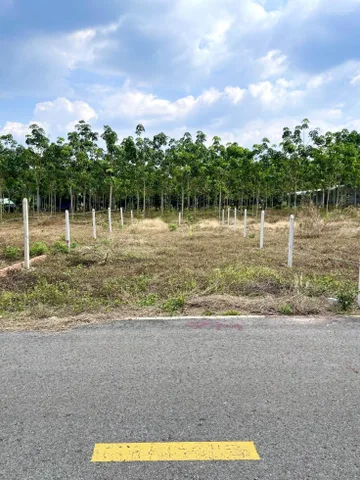 Vỡ Nợ Ngân Hàng Cần Bán Đất 180m2 có sẵn 100 m2 thổ cư giá 450 triệu tại Thị trấn Lai Uyên Huyện Bàu Bàng Bình Dương, sổ hồng riêng, khu dân cư đông đúc