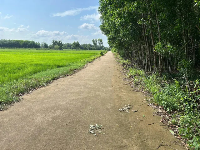 CHÍNH CHỦ CẦN BÁN ĐẤT CHÂU PHA - PHÚ MỸ (BR-VT)- Sát KCN Sonadezi