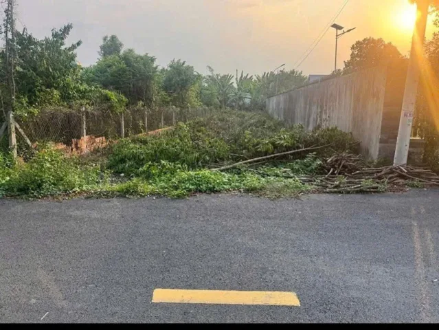 Bán Đất 300m2 có sẵn 100 m2 thổ cư giá 160 triệu tại - Xã An Linh Huyện Phú Giáo Bình Dương