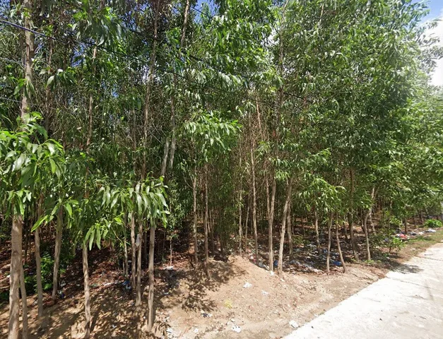 Bán Đất 560m2 có sẵn 100 m2 thổ cư giá 15.2 tỷ tại Xã Phước Thiền Huyện Nhơn Trạch Đồng Nai
