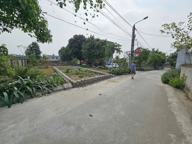 Bán đất gần KCN Tràng Duệ 3 An Lão Hải Phòng – 62m² giá tốt