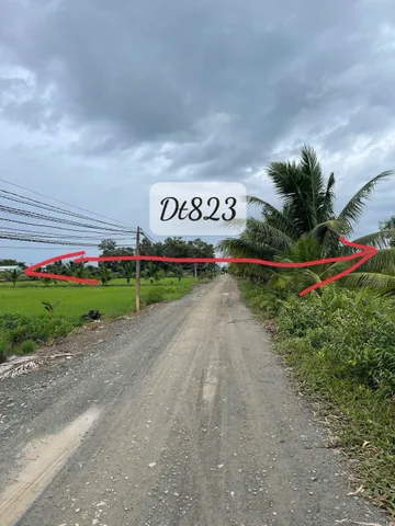 Bán đất lúa / ĐT 823 , xã Tân Phú, Đức Hòa , mặt tiền đường oto , view kênh dt 1264m2 giá 2,2 tỷ