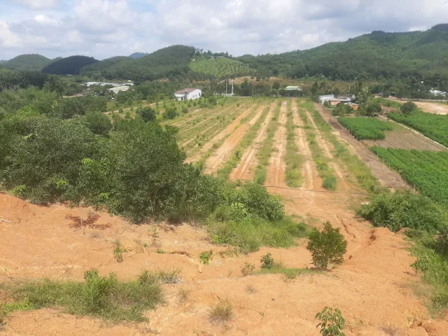 Cần bán 2,3ha đất mặt tiền ĐT725
