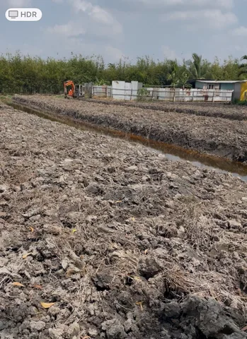 Bán Đất 5000m2 giá 25 tỷ tại Đường Kênh B Thị trấn Tân Túc Huyện Bình Chánh TP. Hồ Chí Minh