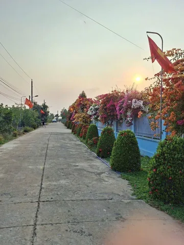 Bán Đất 312m2 có sẵn 100 m2 thổ cư giá 180 triệu tại - Xã An Linh Huyện Phú Giáo Bình Dương
