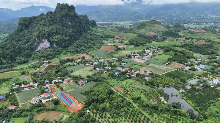Siêu phẩm 3.000m² đất nghỉ dưỡng Kim Bôi – 1.110m² thổ cư – Đón sóng hạ tầng, cách đường cao tốc Hòa Lạc - Hòa Bình chỉ 800m