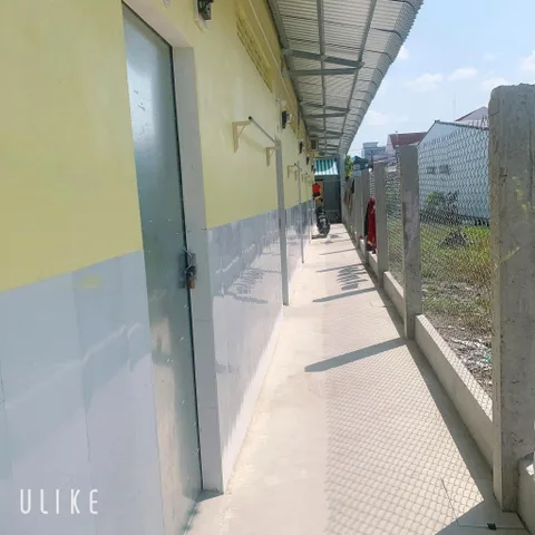 Bán Dãy Trọ Ngay Lê Minh Nhựt Tân An hội Củ Chi Giá 1ty050 triệu Sổ hồng riêng bao phí
