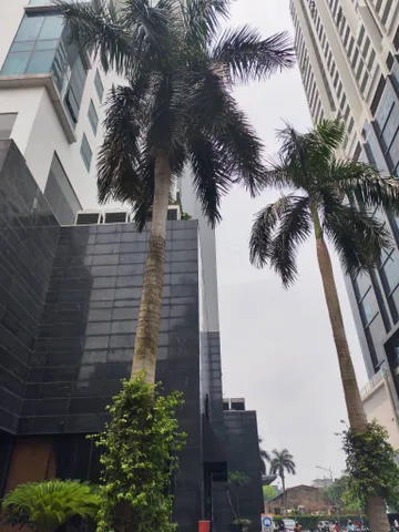 Bán Căn hộ chung cư TÒA C - 275 NGUYỄN TRÃI. 112M2 - 3PN - 2VC.