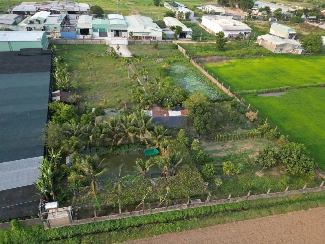 [H2644*] Đất MT Xuân Thới Sơn 6 Hóc Môn 6362m2 vuông đẹp, giá 5x tỷ