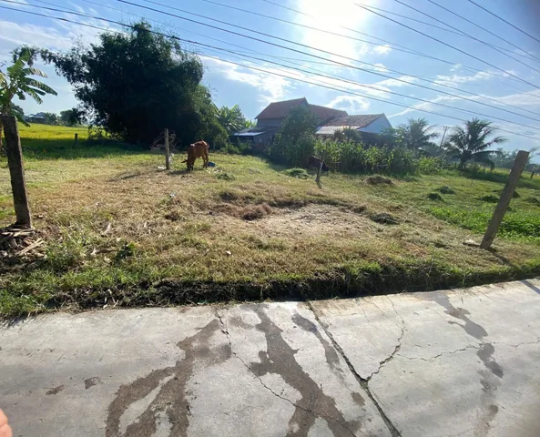 Bán đất phường ninh hoà (ninh đa cũ) hiện trạng đất trống cho ac nào thích trồng rau nuôi cá ..O869.O74.654....