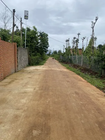 Bán Đất 482.9m2 có sẵn 60 m2 thổ cư giá 990 triệu tại Xã Ea Ktur Huyện Cư Kuin Đắk Lắk