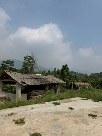 Bỏ phố về vườn - sở hữu khuôn viên nghỉ dưỡng 2700m2 sẵn ao cá, cây ăn trái tại Phú Thọ - giá chỉ vài trăm triệu