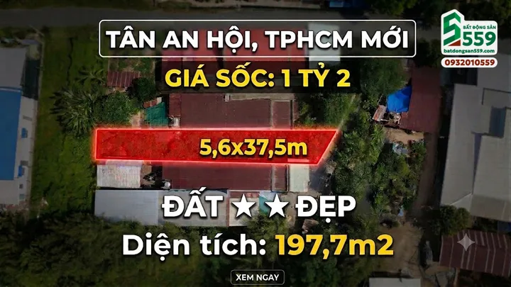 Chính chủ bán đất đang lên thổ cư tại xã Phước Hiệp, huyện Củ Chi (Xã Tân An Hội, TPHCM mới)