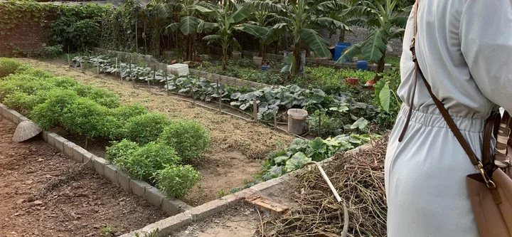 Bán Đất 73m2 có sẵn 73 m2 thổ cư giá 3.56 tỷ tại - Chọn - Xã Liên Nghĩa Huyện Văn Giang Hưng Yên