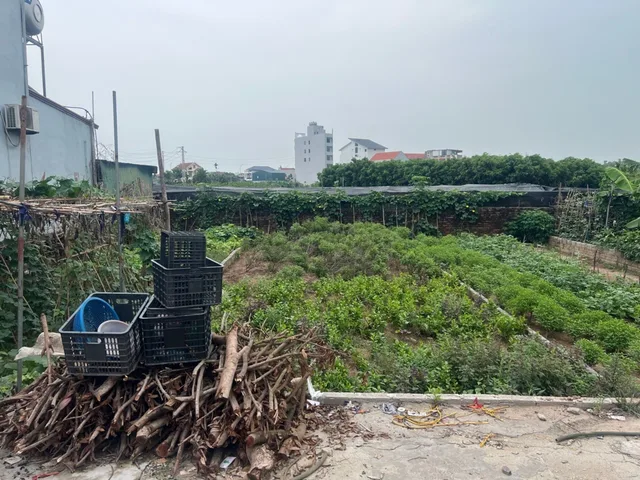 Bán Đất 73m2 có sẵn 73 m2 thổ cư giá 3.45 tỷ tại Đường Dương Quảng Hàm Xã Liên Nghĩa Huyện Văn Giang Hưng Yên