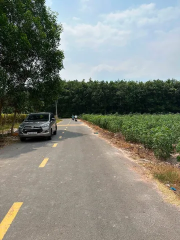 Bán Nhựa Lai Uyên - Bàu Bàng - tpHCM, Nhựa 8m thông QL13 - Giá Đầu 6XX - Kinh Doanh Nhà Xưởng