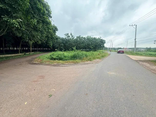Bán đất đồng tâm, 200m 100tc giá 245tr.