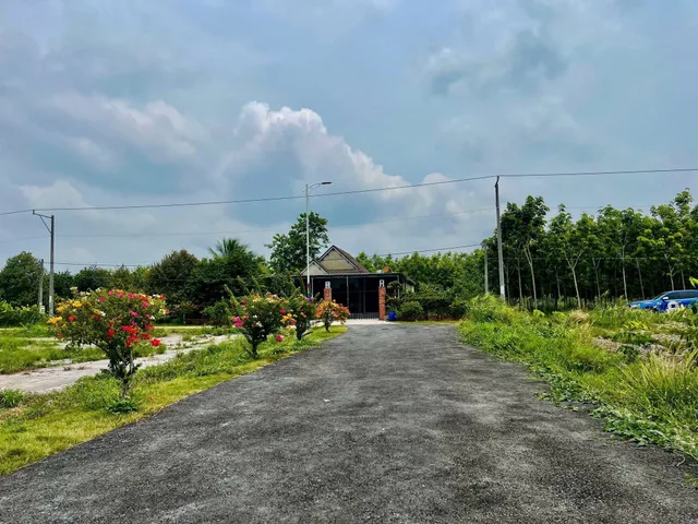 Bán Đất 250m2 có sẵn 100 m2 thổ cư giá 350 triệu tại đường Tỉnh lộ 750 Xã Trừ Văn Thố Huyện Bàu Bàng Bình Dương