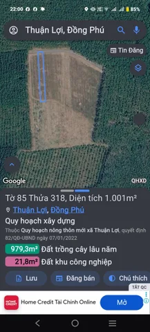 Bán Đất 1001m2 có sẵn 21.8 m2 thổ cư giá 550 triệu tại Đường Phú Riềng Đỏ Xã Thuận Lợi Huyện Đồng Phú Bình Phước