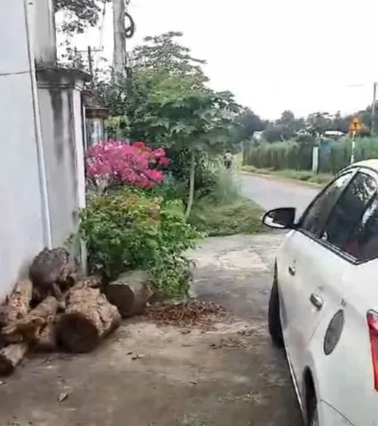 Bán Nhà trọ 597m2 có sẵn 300 m2 thổ cư giá 5.97 tỷ tại Đường Phú Mỹ Xã Phú Hòa Đông Huyện Củ Chi TP. Hồ Chí Minh