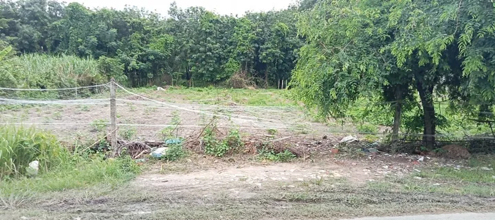 Bán Đất 1134m2 có sẵn 414 m2 thổ cư giá 11 tỷ tại Đường số 490 Xã Phạm Văn Cội Huyện Củ Chi TP. Hồ Chí Minh