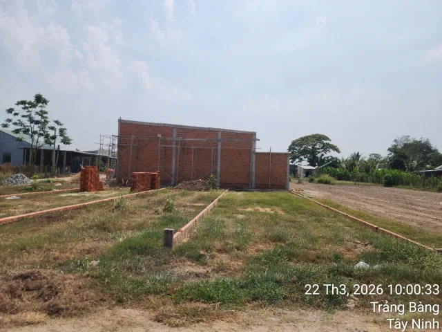 Bán Đất 299m2 có sẵn 299 m2 thổ cư giá 720 triệu tại Đường An Thới Xã An Tịnh Huyện Trảng Bàng Tây Ninh