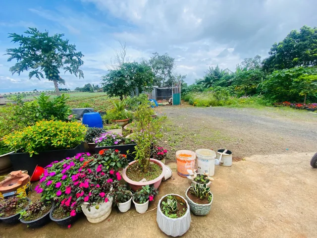 Bán Đất 369m2 có sẵn 200 m2 thổ cư giá 4.7 tỷ tại Đường Trần Phú Thị trấn Liên Nghĩa Huyện Đức Trọng Lâm Đồng