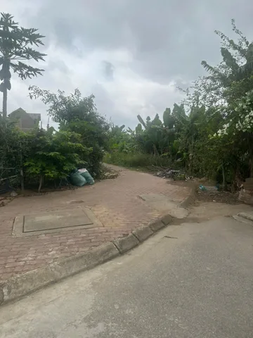 5AD176.1 🚨 **ĐẤT KHU ĐÔ THỊ ANH DŨNG 8 – CHỈ 22,X TRIỆU/M²** 🚨