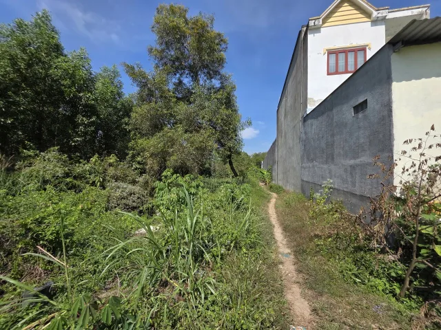 Đất Nhà Vườn Ven Suối 1899m2 Uyên Hưng, Tân Uyên - Sổ Riêng Giá Tốt