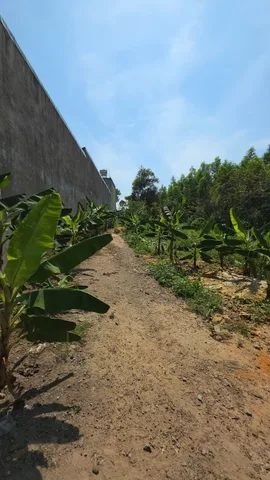 Đất Nhà Vườn Ven Suối 1899m2 Uyên Hưng, Tân Uyên - Sổ Riêng Giá Tốt