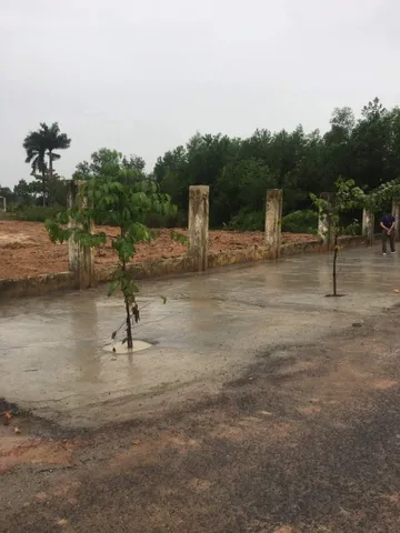Bán đất mặt tiền nhựa thông Cá Lăng, cách Sông Sài Gòn 700 m. tại Xã Phú Hòa Đông Huyện Củ Chi TP. Hồ Chí Minh
