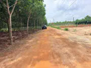 Bán Đất 200m2 có sẵn 50 m2 thổ cư giá 450 triệu tại Xã Suối Ngô Huyện Tân Châu Tây Ninh