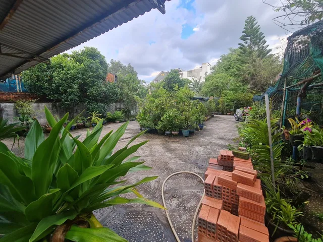 HÀNG HIẾM DT LỚN 
GẦN 2000M2  FULL THỔ CƯ HÀNG NGON CHO ĐẦU TƯ  - CHI 45TR/M2 GIÁ THƯƠNG LƯỢNG TỐT.