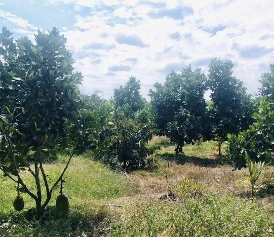 KẸT TIỀN BÁN GẤP 1008M2 ĐẤT, S.HỒNG,MT NGAY KCN, GẦN CHỢ DÂN ĐÔNG GIÁ 170Tr