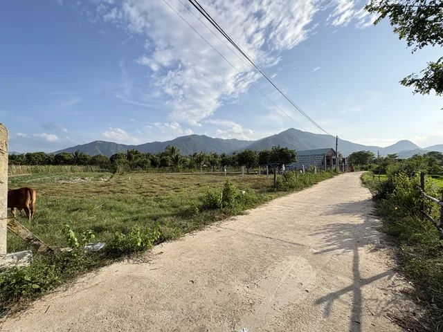 Bán lô đất suối tiên (suối hiệp), cách hương lộ 39 chỉ 100m, giá đầu tư. dt 186m2