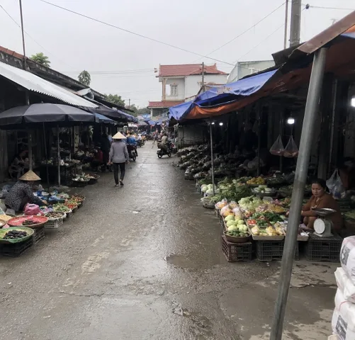 Bán Đất 195m2 có sẵn 100 m2 thổ cư giá 500 triệu tại Đường DH507 Xã An Linh Huyện Phú Giáo Bình Dương