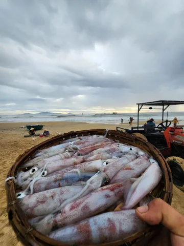 CHƯA ĐẾN 1.6tỷ. Sở hữu lô đất mặt tiền đường Thanh Niên tại biển Bình Minh (Nam Hội An)