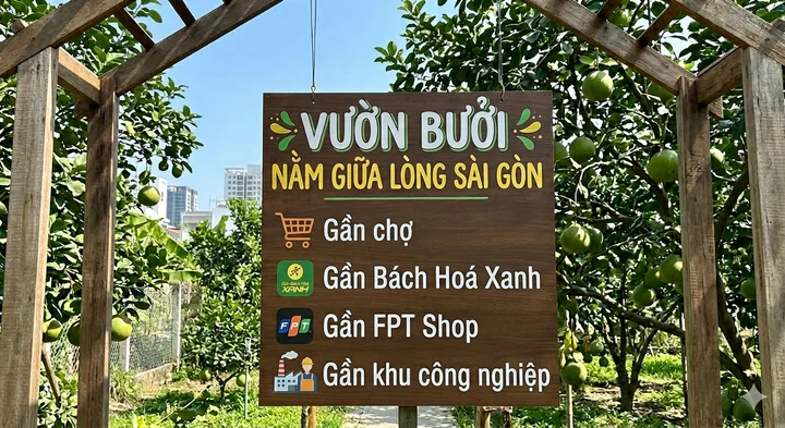 Bán Đất 1550m2 có sẵn 100 m2 thổ cư giá  2tỷ1 tại đường Trừ Văn Thố Xã Trừ Văn Thố Huyện Bàu Bàng Bình Dương