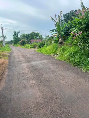 Bán Đất 151m2 có sẵn thổ cư Phường Tân Đông Hiệp Thành phố Dĩ An Bình Dương