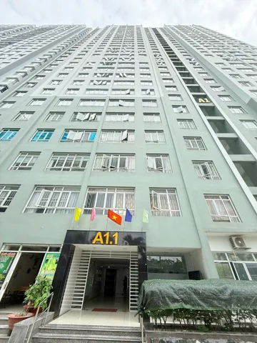 Giỏ hàng căn hộ sắp ra mắt tại dự án Giai Việt Quận 8, giá chỉ từ 55-60 triệu/m2
