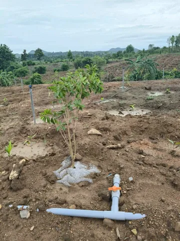 Bán Đất 13105m2 giá 1.5 tỷ tại Xã Ea M'DRóh Huyện Cư M'gar Đắk Lắk
