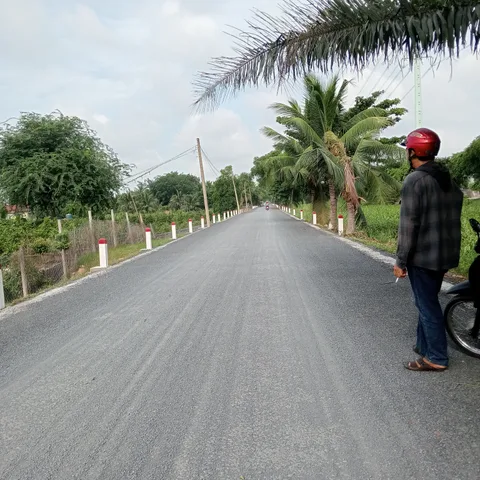 Bán Đất 1000m2 giá 4.8 tỷ tại - Chọn - Xã Bình Lợi Huyện Bình Chánh TP. Hồ Chí Minh